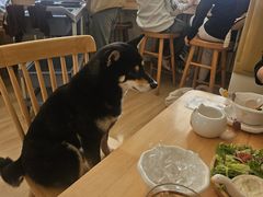 -柴の食堂·日式家庭料理·熊之肆(大学路店)
