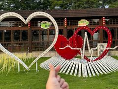 -东南花都花博园