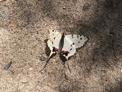 -碓臼峪自然风景区