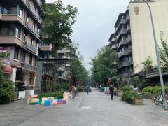 -泡桐树街