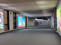 -Boots(廊曼机场店)