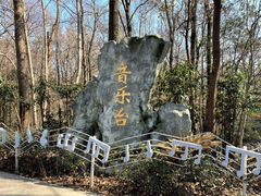 -音乐台