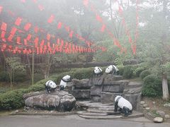 -都江堰中华大熊猫苑