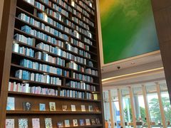 -深圳湾木棉花酒店