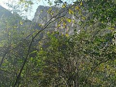 -蝶舞清江·恩施云顶景区(黄鹤峰林)