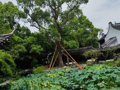 -上海醉白池公园
