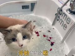 -comecome来吧宠物(奥克斯中心店)