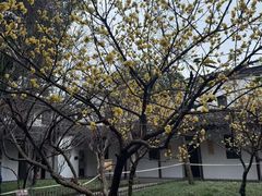 -西园寺素食(西园弄戒幢律寺店)