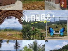 -牙胡梯田