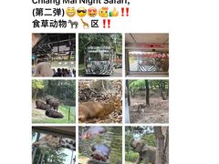 -清迈夜间动物园
