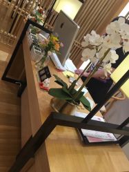 -一本X目奈子日式单根美睫专业店