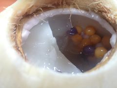 小芋圆椰汁椰子冻-广德记·椰子冻手制甜品(福田总店)