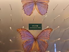 -陕西自然博物馆