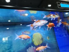 -北京市中关村医院