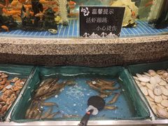 -初色海鲜自助(万丰路店)