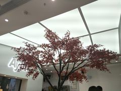-艾薯夫妇Aysh(福田星河COCOPark店)