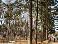 -长春市南湖公园