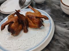 -鸽鸟轩(石岐店)