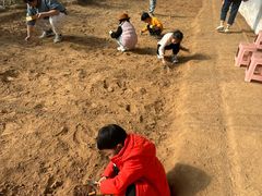 -房山世界地质公园博物馆