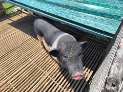 -小鱼草莓采摘园农家乐·小鱼餐厅