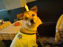 -拆调计划音乐酒吧(上海新世界休闲生活广场店)