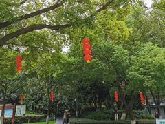 -常州古运河南大街文化旅游区-人民公园