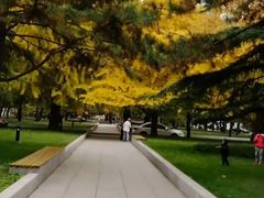 -中央民族大学