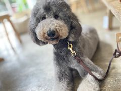 -收获咖啡HARVEST RESERVE(苍山店)