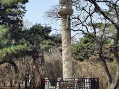 -北陵公园