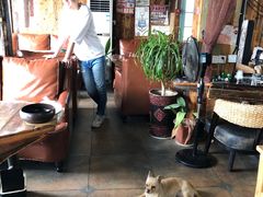 大堂-西塘人家•黑金冠本地好店