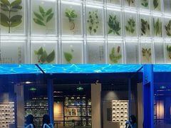 -广东中医药博物馆