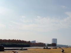 -春花秋色城市公园