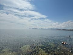 -养马岛旅游度假区