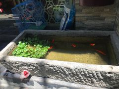 -福瑞记老孙头biangbiang面(新生路店)