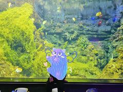 -江和美海洋公园