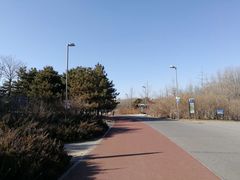 -奥林匹克森林公园北园-停车场