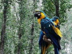 -北京野生动物园