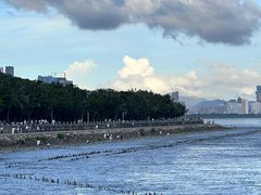 -深圳湾公园(南山区)