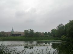 -洋湖国家湿地公园