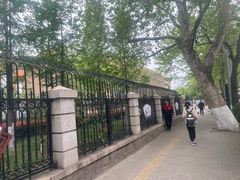-山东省青岛第二中学(江西路分校)