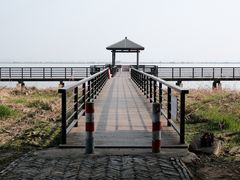 -莲花岛景区