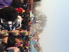 石景山游乐园-北京石景山游乐园
