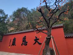 -大慈岩风景区