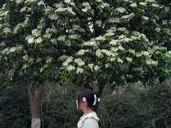 -敬亭山风景名胜区