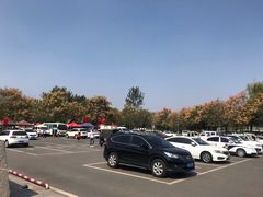 -台儿庄大战纪念馆