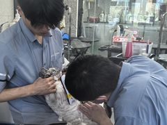 -宠物家(长阳店)