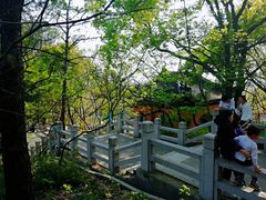 -灵岩山风景区