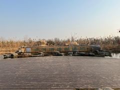 -泗洪洪泽湖湿地景区