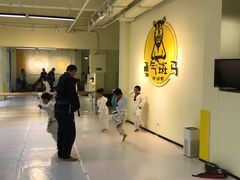 -勇气斑马·巴西柔术&跆拳道(浦东三林店)
