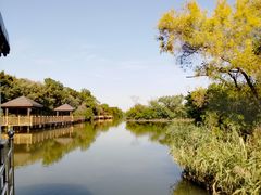 -大湾区中央湿地公园